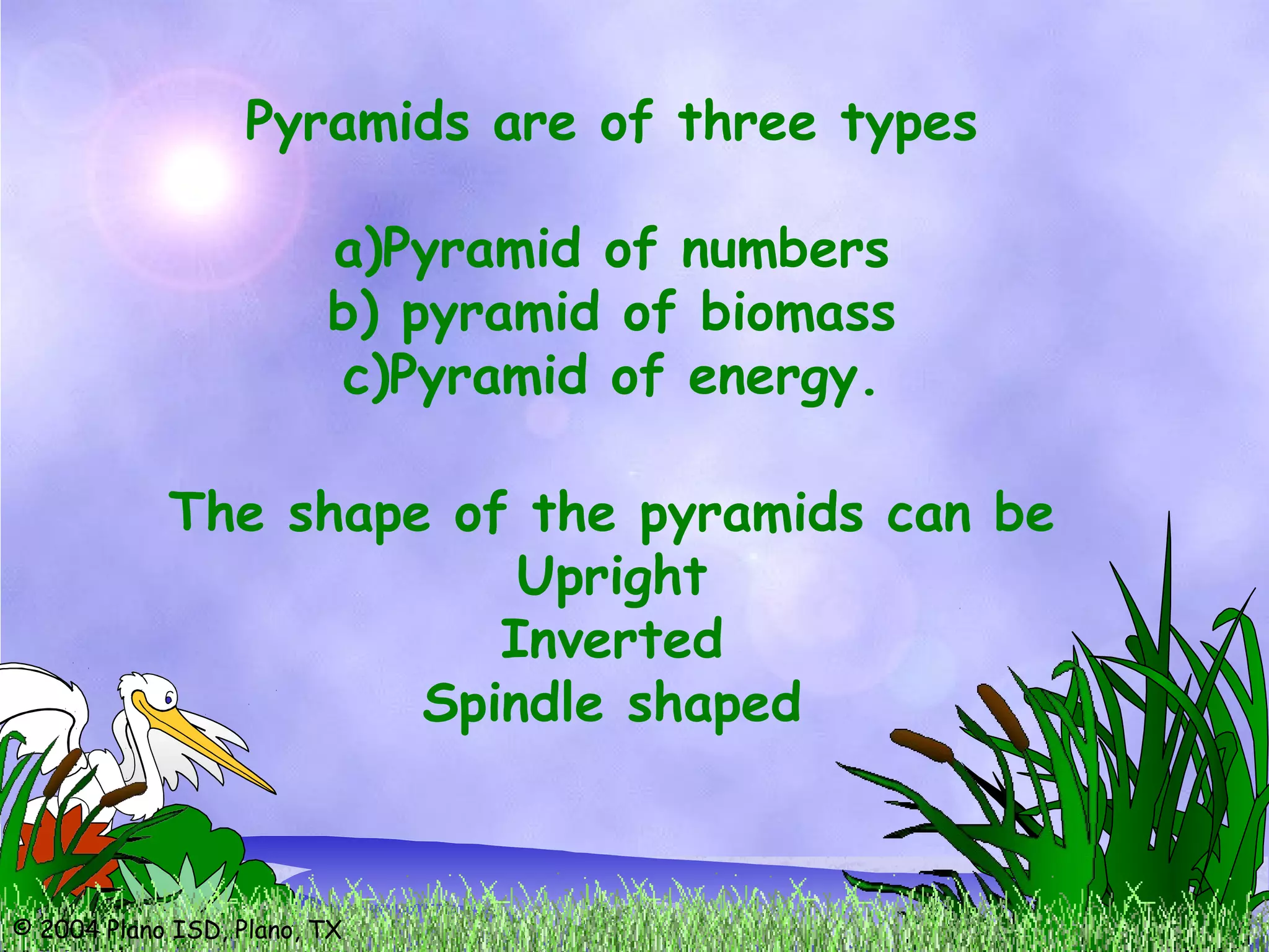 © 2004 Plano ISD, Plano, TX
Pyramids are of three types
a)Pyramid of numbers
b) pyramid of biomass
c)Pyramid of energy.
The shape of the pyramids can be
Upright
Inverted
Spindle shaped
 