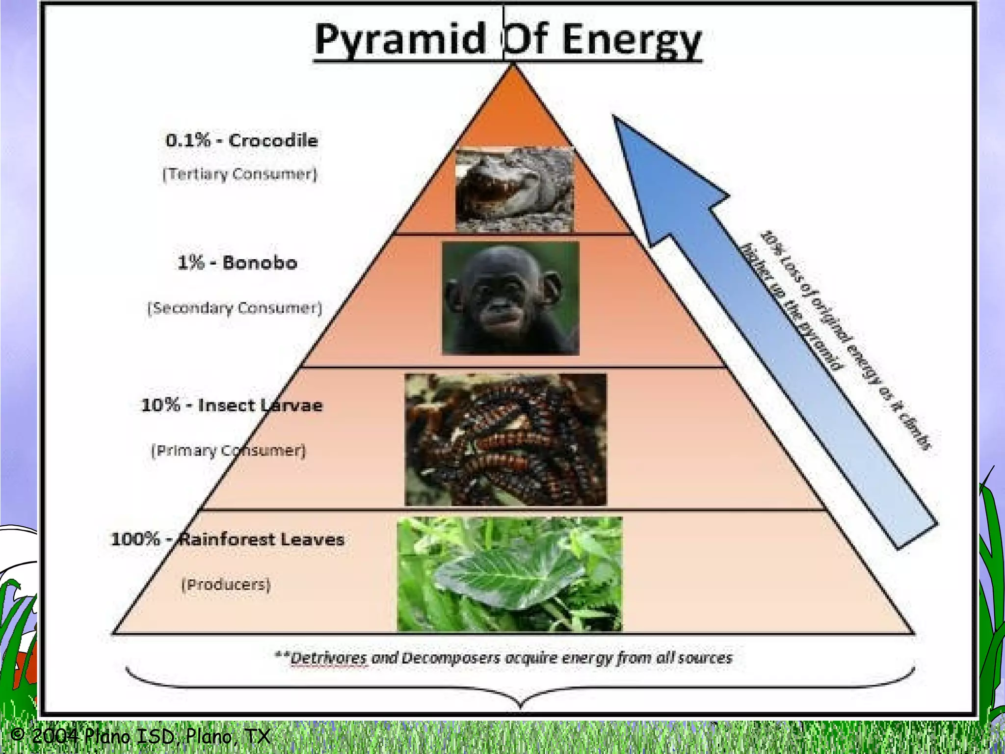 © 2004 Plano ISD, Plano, TX
 