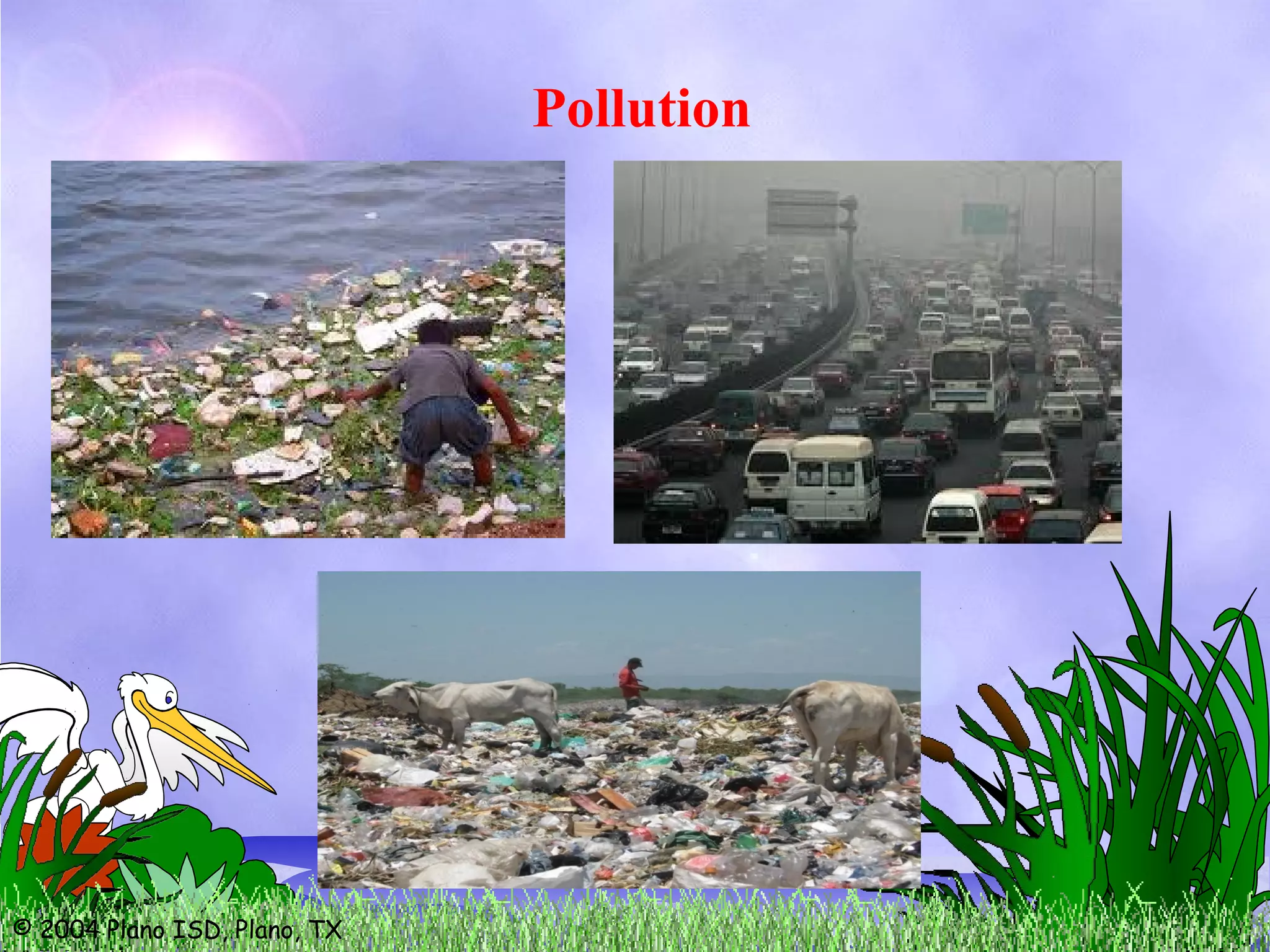 © 2004 Plano ISD, Plano, TX
Pollution
 