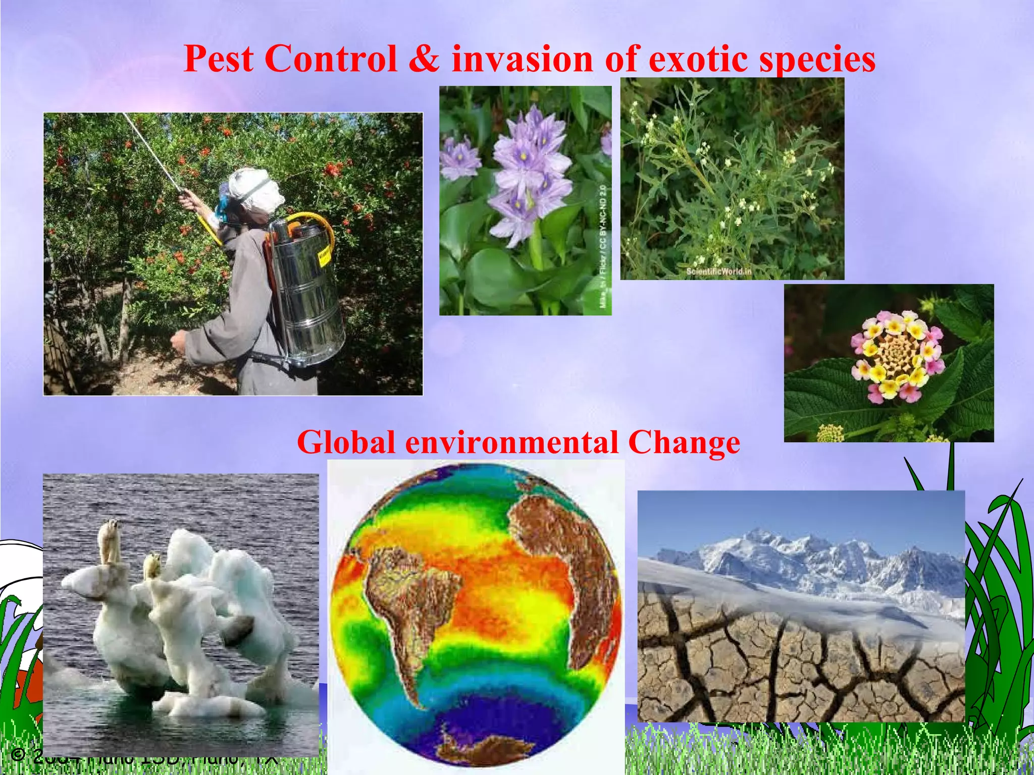 © 2004 Plano ISD, Plano, TX
Global environmental Change
Pest Control & invasion of exotic species
 
