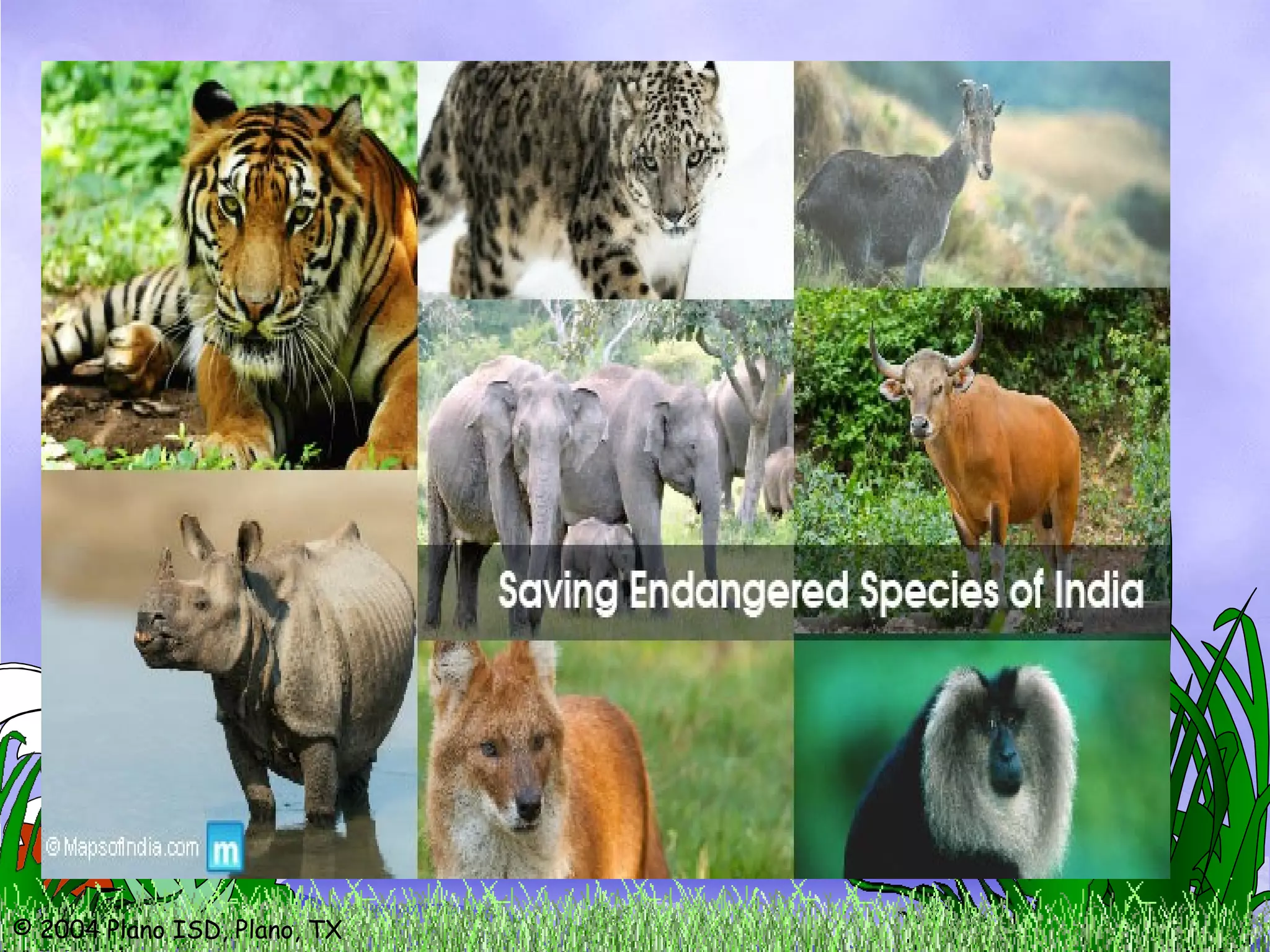 © 2004 Plano ISD, Plano, TX
 