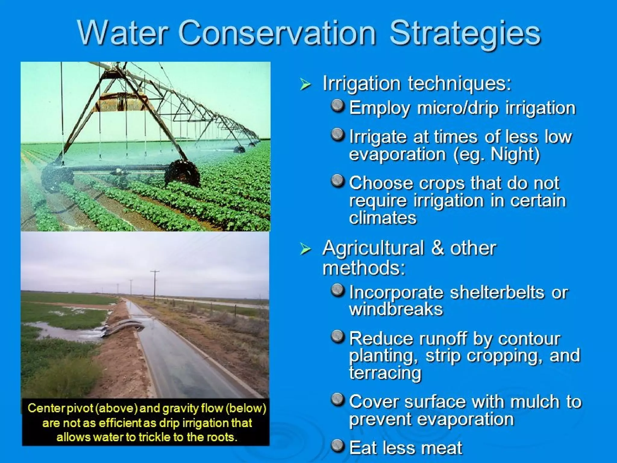 © 2004 Plano ISD, Plano, TX
Methods to conserve water
 