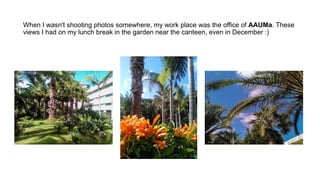 When I wasn't shooting photos somewhere, my work place was the office of AAUMa. These
views I had on my lunch break in the...