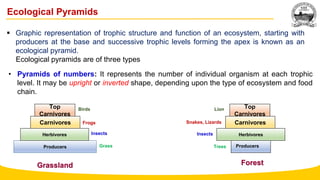 environmental science and ecosystem full module | PPTX
