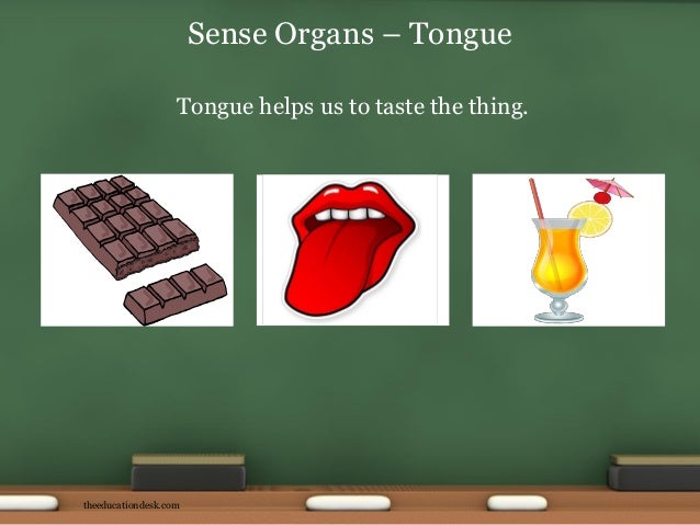 you for 15 english lesson : Body (Class I) Environmental Parts Science (EVS)