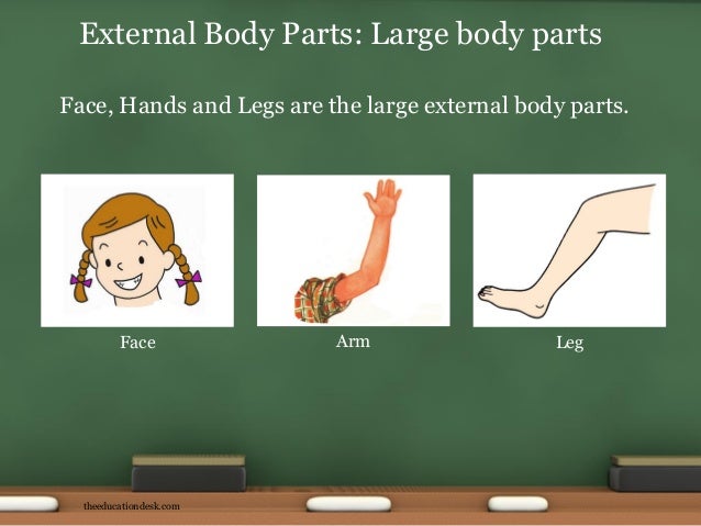 environmental science evs body parts class i