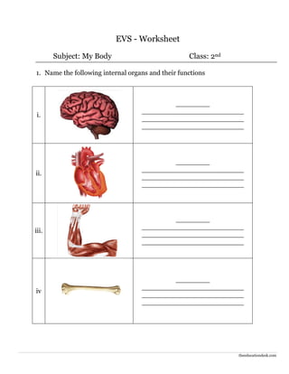 theeducationdesk.com
EVS - Worksheet
Subject: My Body Class: 2nd
1. Name the following internal organs and their functions
i.
________
________________________
________________________
________________________
ii.
________
________________________
________________________
________________________
iii.
________
________________________
________________________
________________________
iv
________
________________________
________________________
________________________
 