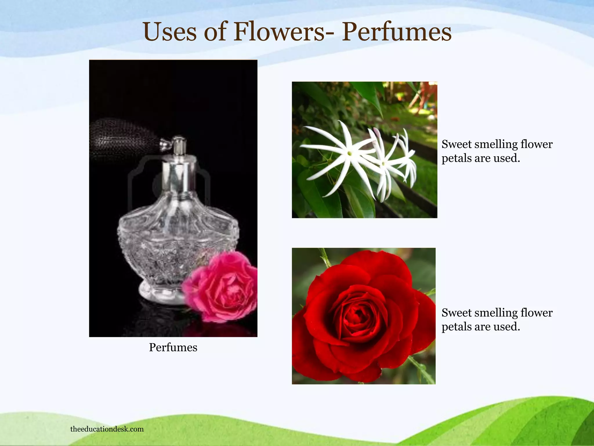 Uses of Flowers- Perfumes
Perfumes
Sweet smelling flower
petals are used.
Sweet smelling flower
petals are used.
theeducationdesk.com
 