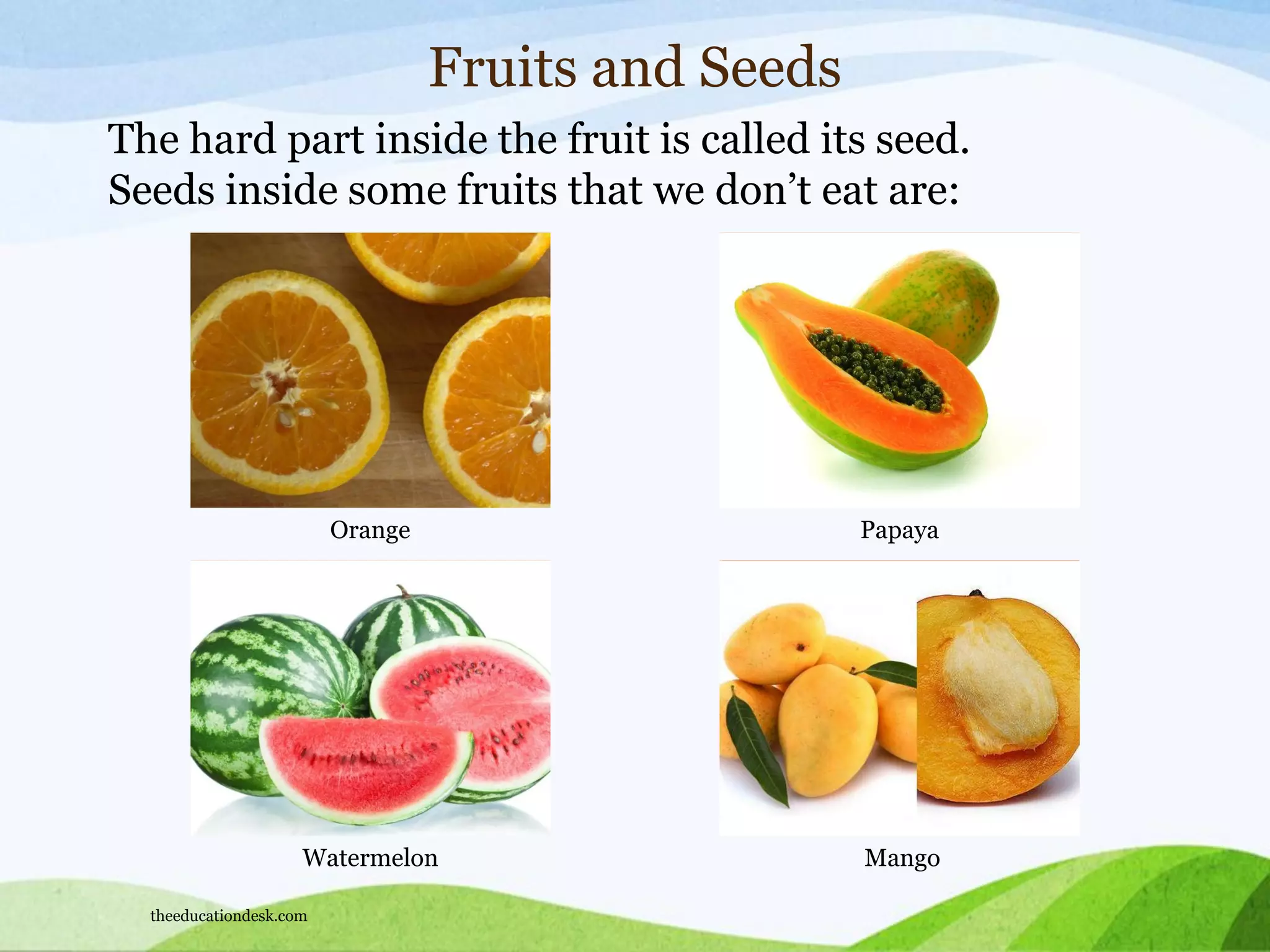 Watermelon Mango
Fruits and Seeds
The hard part inside the fruit is called its seed.
Seeds inside some fruits that we don’t eat are:
Orange Papaya
theeducationdesk.com
 