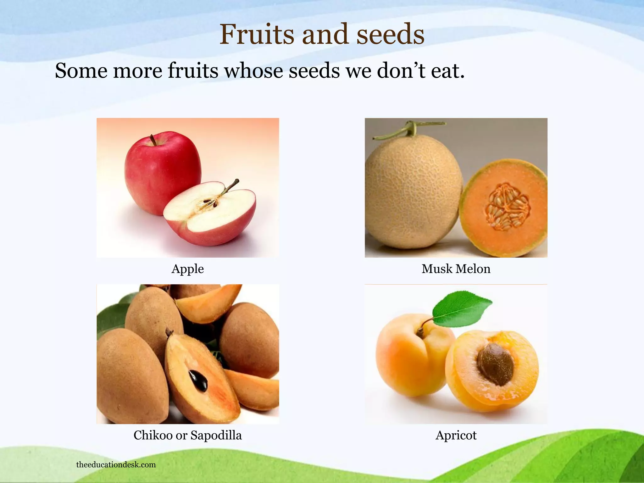 Chikoo or Sapodilla Apricot
Fruits and seeds
Some more fruits whose seeds we don’t eat.
Apple Musk Melon
theeducationdesk.com
 