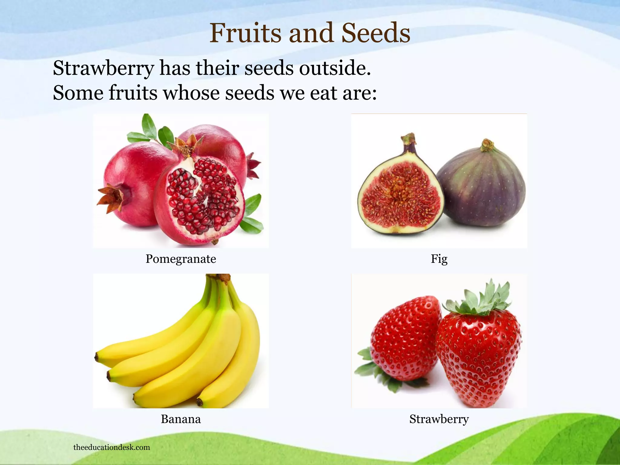 Banana Strawberry
Fruits and Seeds
Strawberry has their seeds outside.
Some fruits whose seeds we eat are:
Pomegranate Fig
theeducationdesk.com
 