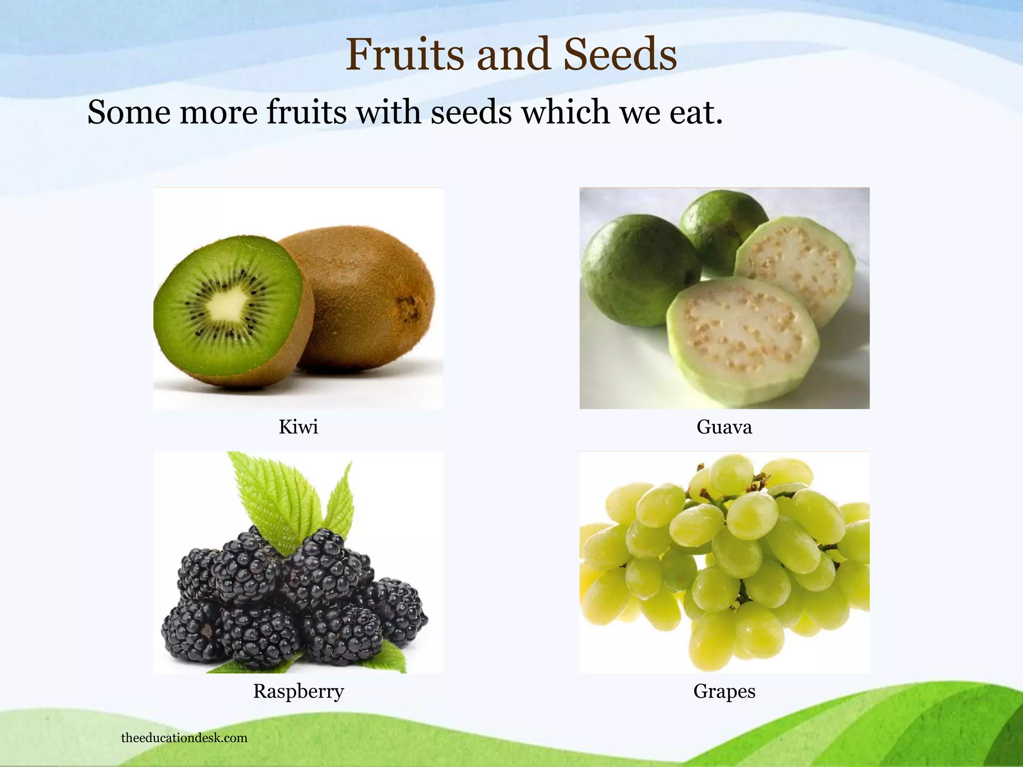 Raspberry Grapes
Fruits and Seeds
Some more fruits with seeds which we eat.
Kiwi Guava
theeducationdesk.com
 