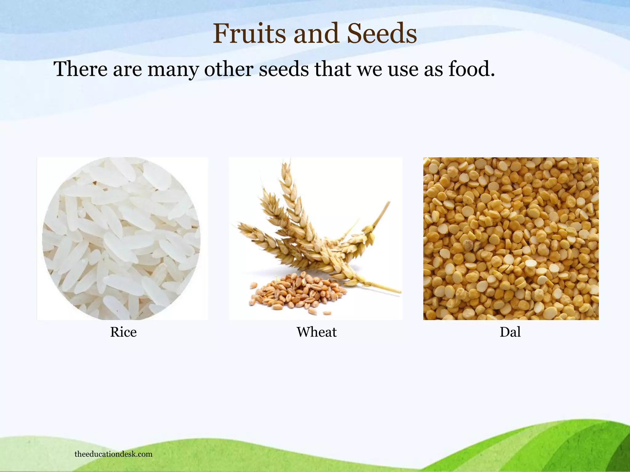 Rice Wheat Dal
Fruits and Seeds
There are many other seeds that we use as food.
theeducationdesk.com
 