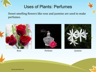 Uses of Plants: Perfumes
Sweet smelling flowers like rose and jasmine are used to make
perfumes.
Rose Perfume Jasmine
theeducationdesk.com
 