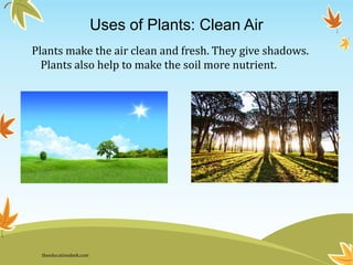 Uses of Plants: Clean Air
Plants make the air clean and fresh. They give shadows.
Plants also help to make the soil more nutrient.
theeducationdesk.com
 