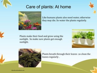 Like humans plants also need water, otherwise
they may die. So water the plants regularly.
Plants breath through their leaves so clean the
leaves regularly .
Plants make their food and grow using the
sunlight. So make sure plants get enough
sunlight.
Care of plants: At home
theeducationdesk.com
 