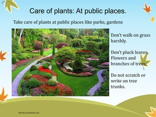 Care of plants: At public places.
Take care of plants at public places like parks, gardens
Don’t walk on grass
harshly.
Don’t pluck leaves,
Flowers and
branches of trees.
Do not scratch or
write on tree
trunks.
theeducationdesk.com
 