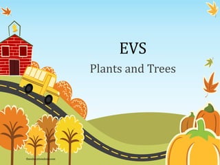 EVS
Plants and Trees
theeducationdesk.com
 
