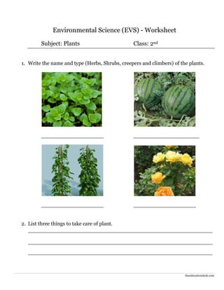 theeducationdesk.com
Environmental Science (EVS) - Worksheet
Subject: Plants Class: 2nd
1. Write the name and type (Herbs, Shrubs, creepers and climbers) of the plants.
___________________ ____________________
___________________ ___________________
2. List three things to take care of plant.
________________________________________________________
________________________________________________________
________________________________________________________
 