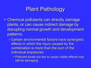 Plant Pathology
 Chemical pollutants can directly damage
plants, or can cause indirect damage by
disrupting normal growth and development
patterns.
– Certain environmental factors have synergistic
effects in which the injury caused by the
combination is more than the sum of the
individual exposures.
 Pollutant levels too low to cause visible effects may
still be damaging.
 