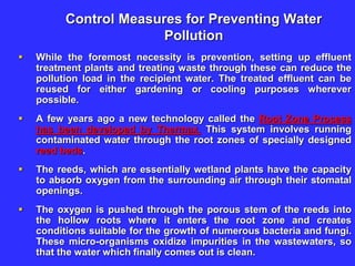 Control Measures for Preventing Water
Pollution
 While the foremost necessity is prevention, setting up effluent
treatment plants and treating waste through these can reduce the
pollution load in the recipient water. The treated effluent can be
reused for either gardening or cooling purposes wherever
possible.
 A few years ago a new technology called the Root Zone Process
has been developed by Thermax. This system involves running
contaminated water through the root zones of specially designed
reed beds.
 The reeds, which are essentially wetland plants have the capacity
to absorb oxygen from the surrounding air through their stomatal
openings.
 The oxygen is pushed through the porous stem of the reeds into
the hollow roots where it enters the root zone and creates
conditions suitable for the growth of numerous bacteria and fungi.
These micro-organisms oxidize impurities in the wastewaters, so
that the water which finally comes out is clean.
 