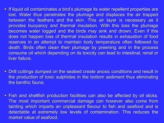  If liquid oil contaminates a bird’s plumage its water repellent properties are
lost. Water thus penetrates the plumage and displaces the air trapped
between the feathers and the skin. This air layer is necessary as it
provides buoyancy and thermal insulation. With this loss the plumage
becomes water logged and the birds may sink and drown. Even if this
does not happen loss of thermal insulation results in exhaustion of food
reserves in an attempt to maintain body temperature often followed by
death. Birds often clean their plumage by preening and in the process
consume oil which depending on its toxicity can lead to intestinal, renal or
liver failure.
 Drill cuttings dumped on the seabed create anoxic conditions and result in
the production of toxic sulphides in the bottom sediment thus eliminating
the benthic fauna.
 Fish and shellfish production facilities can also be affected by oil slicks.
The most important commercial damage can however also come from
tainting which imparts an unpleasant flavour to fish and seafood and is
detectable at extremely low levels of contamination. This reduces the
market value of seafood.
 