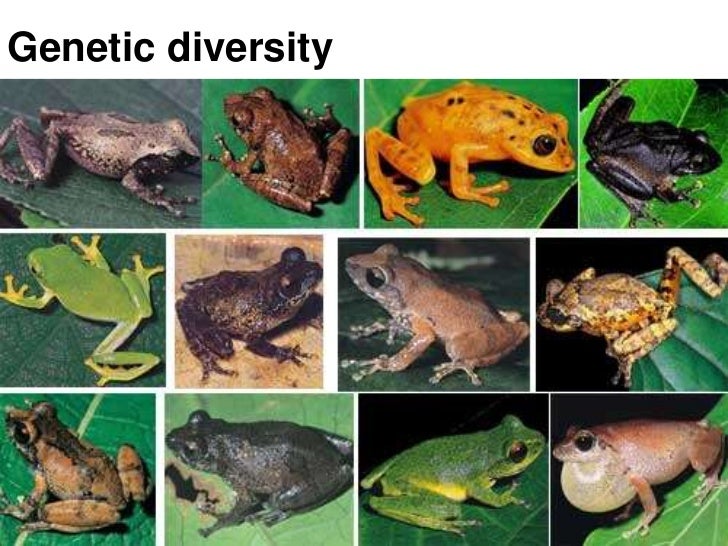 Evolution study