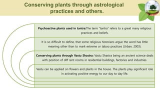 Psychoactive plants used in tantra:The term “tantra” refers to a great many religious
practices and beliefs.
It is so difficult to define, that some religious historians argue the word has little
meaning other than to mark extreme or taboo practices (Urban, 2003).
Conserving plants through Vastu Shastra: Vastu Shastra being an ancient science deals
with position of diff rent rooms in residential buildings, factories and industries.
Vastu can be applied on flowers and plants in the house. The plants play significant role
in activating positive energy to our day to day life.
Conserving plants through astrological
practices and others.
 