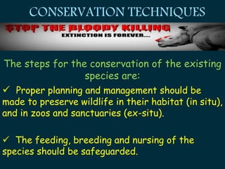 EVS PPT - ENDANGERED SPECIES | PPTX