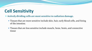 Air Pollution (Sources and Impacts) | PPTX