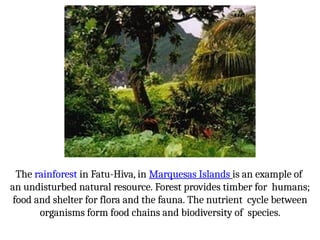 The rainforest in Fatu-Hiva, in Marquesas Islands is an example of
an undisturbed natural resource. Forest provides timber for humans;
food and shelter for flora and the fauna. The nutrient cycle between
organisms form food chains and biodiversity of species.
 