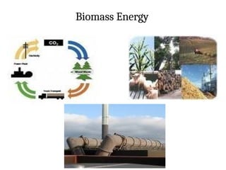 Biomass Energy
 