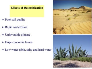 Effects of Desertification
➢ Poor soil quality
➢ Rapid soil erosion
➢ Unfavorable climate
➢ Huge economic losses
➢ Low water table, salty and hard water
 