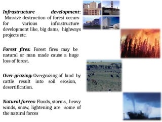 Infrastructure development:
Massive destruction of forest occurs
for various infrastructure
development like, big dams, highways
projects etc.
Forest fires: Forest fires may be
natural or man made cause a huge
loss of forest.
Over grazing: Overgrazing of land by
cattle result into soil erosion,
desertification.
Natural forces: Floods, storms, heavy
winds, snow, lightening are some of
the natural forces
 