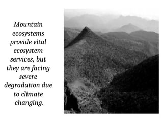Mountain
ecosystems
provide vital
ecosystem
services, but
they are facing
severe
degradation due
to climate
changing.
 