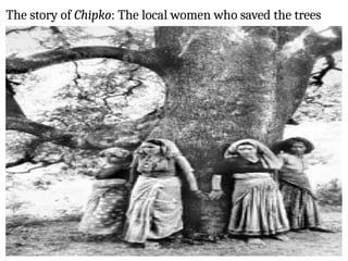 The story of Chipko: The local women who saved the trees
 