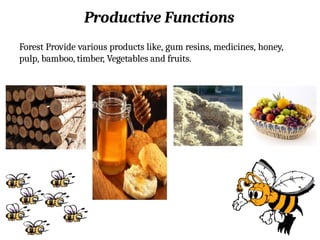 Productive Functions
Forest Provide various products like, gum resins, medicines, honey,
pulp, bamboo, timber, Vegetables and fruits.
 