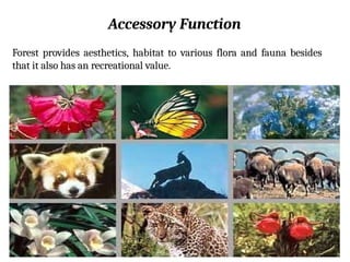 Accessory Function
Forest provides aesthetics, habitat to various flora and fauna besides
that it also has an recreational value.
 
