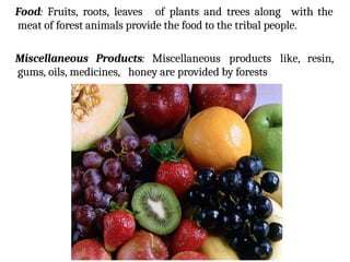 Food: Fruits, roots, leaves of plants and trees along with the
meat of forest animals provide the food to the tribal people.
Miscellaneous Products: Miscellaneous products like, resin,
gums, oils, medicines, honey are provided by forests
 