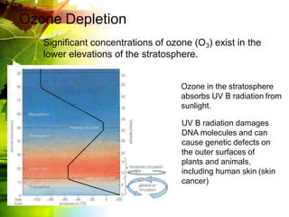 Ozone Depletion
Significant concentrations of ozone (O3) exist in the
lower elevations of the stratosphere.
Ozone in the stratosphere
absorbs UV B radiation from
sunlight.
UV B radiation damages
DNA molecules and can
cause genetic defects on
the outer surfaces of
plants and animals,
including human skin (skin
cancer)
 
