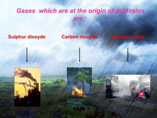 Gases which are at the origin of acid rains
are :
Sulphur dioxyde Carbon dioxyde Nitrogen oxide
 