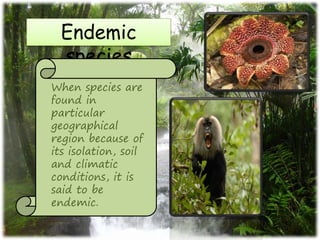 Endangered and Endemic species of India | PPTX