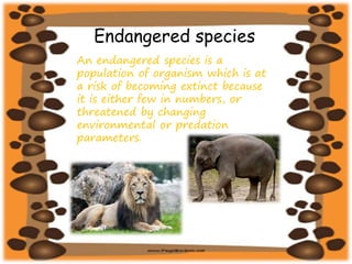 Endangered and Endemic species of India