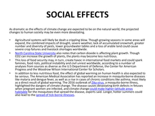 SOCIAL EFFECTS
As dramatic as the effects of climate change are expected to be on the natural world, the projected
changes to human society may be even more devastating.
• Agricultural systems will likely be dealt a crippling blow. Though growing seasons in some areas will
expand, the combined impacts of drought, severe weather, lack of accumulated snowmelt, greater
number and diversity of pests, lower groundwater tables and a loss of arable land could cause
severe crop failures and livestock shortages worldwide.
• North Carolina State University also notes that carbon dioxide is affecting plant growth. Though
CO2 can increase the growth of plants, the plants may become less nutritious.
• This loss of food security may, in turn, create havoc in international food markets and could spark
famines, food riots, political instability and civil unrest worldwide, according to a number of
analyses from sources as diverse as the U.S Department of Defense, the Center for American
Progress and the Woodrow Wilson International Center for Scholars.
• In addition to less nutritious food, the effect of global warming on human health is also expected to
be serious. The American Medical Association has reported an increase in mosquito-borne diseases
like malaria and dengue fever, as well as a rise in cases of chronic conditions like asthma, most likely
as a direct result of global warming. The 2016 outbreak of Zika virus, a mosquito-borne illness,
highlighted the dangers of climate change. The disease causes devastating birth defects in fetuses
when pregnant women are infected, and climate change could make higher-latitude areas
habitable for the mosquitoes that spread the disease, experts said. Longer, hotter summers could
also lead to the spread of tick-borne illnesses.
 