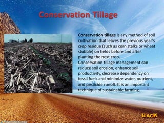 Conservation tillage is any method of soil
cultivation that leaves the previous year's
crop residue (such as corn stalks or wheat
stubble) on fields before and after
planting the next crop.
Conservation tillage management can
reduce soil erosion, enhance soil
productivity, decrease dependency on
fossil fuels and minimize water, nutrient,
and pesticide runoff. It is an important
technique of sustainable farming.
 