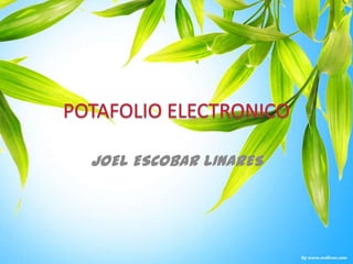 POTAFOLIO ELECTRONICO JOEL ESCOBAR LINARES 