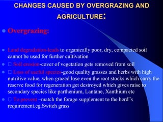 CHANGES CAUSED BY OVERGRAZING AND
AGRICULTURE:
 Overgrazing:
 Land degradation-leads to organically poor, dry, compacted soil
cannot be used for further cultivation
 Soil erosion-cover of vegetation gets removed from soil
 Loss of useful species-good quality grasses and herbs with high
nutritive value, when grazed lose even the root stocks which carry the
reserve food for regeneration get destroyed which gives raise to
secondary species like parthenium, Lantane, Xanthium etc
 To prevent –match the forage supplement to the herd‟s
requirement.eg.Switch grass
 