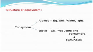 &
Decomposers
& Decomposers
 