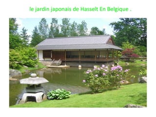 le jardin japonais de Hasselt En Belgique .
 