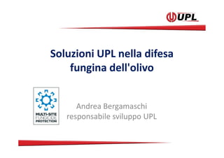 Soluzioni UPL nella difesa
fungina dell'olivo
Andrea Bergamaschi
responsabile sviluppo UPL
 